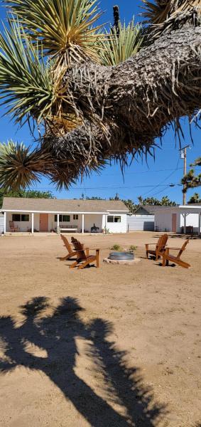 Quail Spirit Homestead
